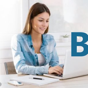 Hamster Life Hamster Life